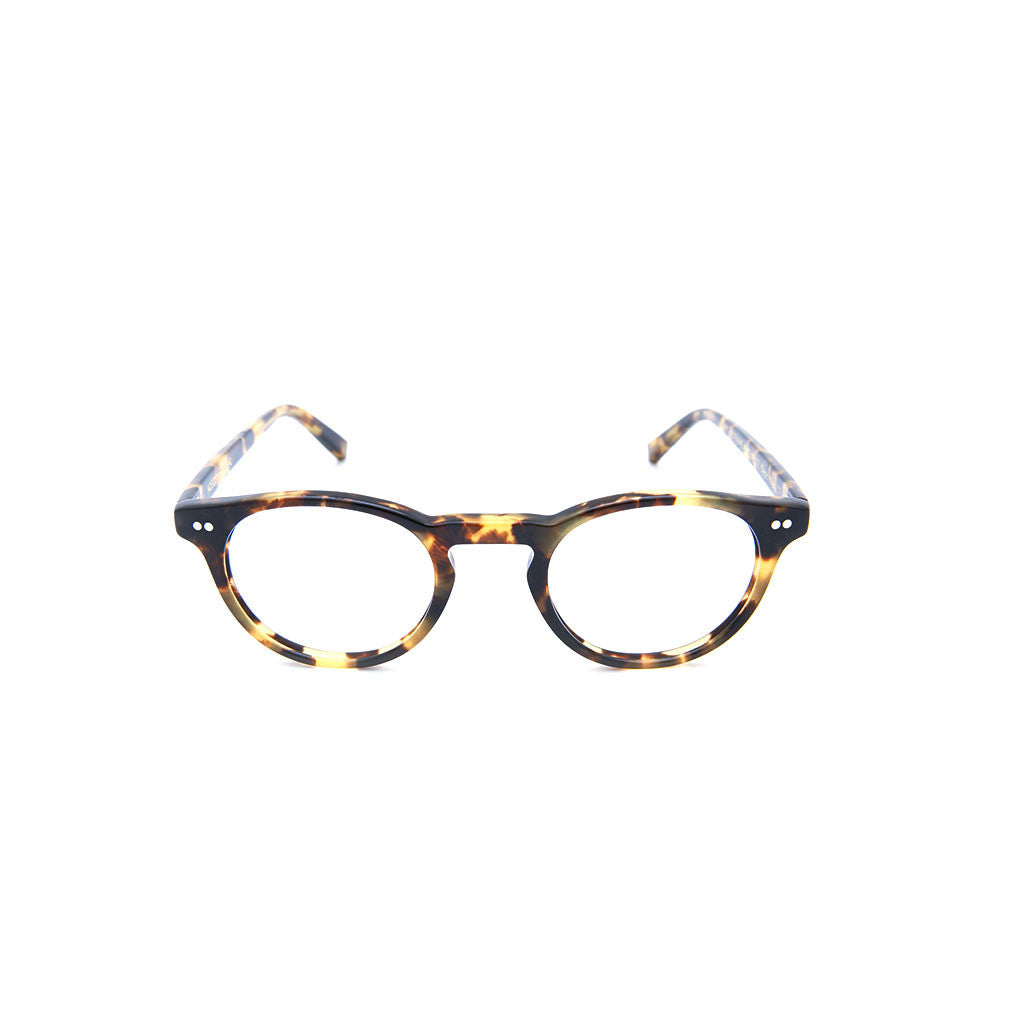 Frankie in Classic Havana