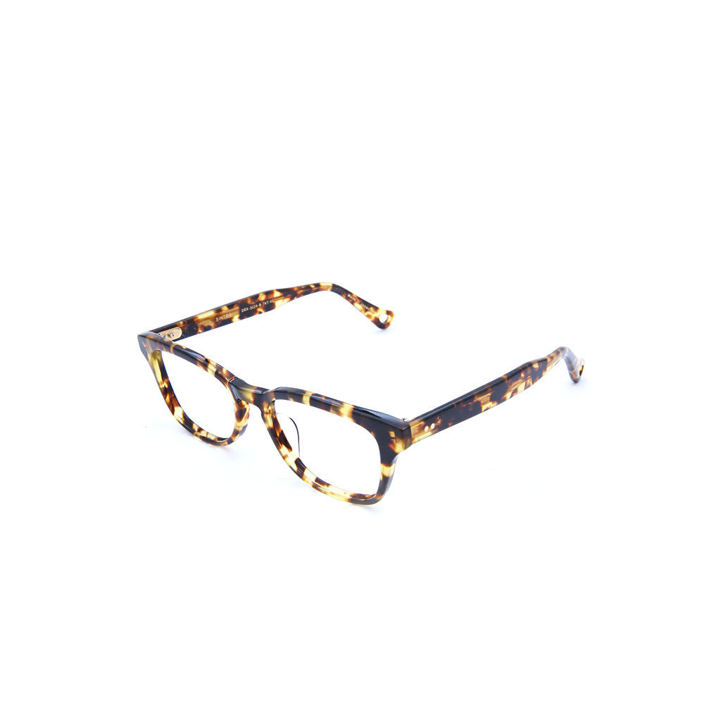Sintra in Tokyo Tortoise