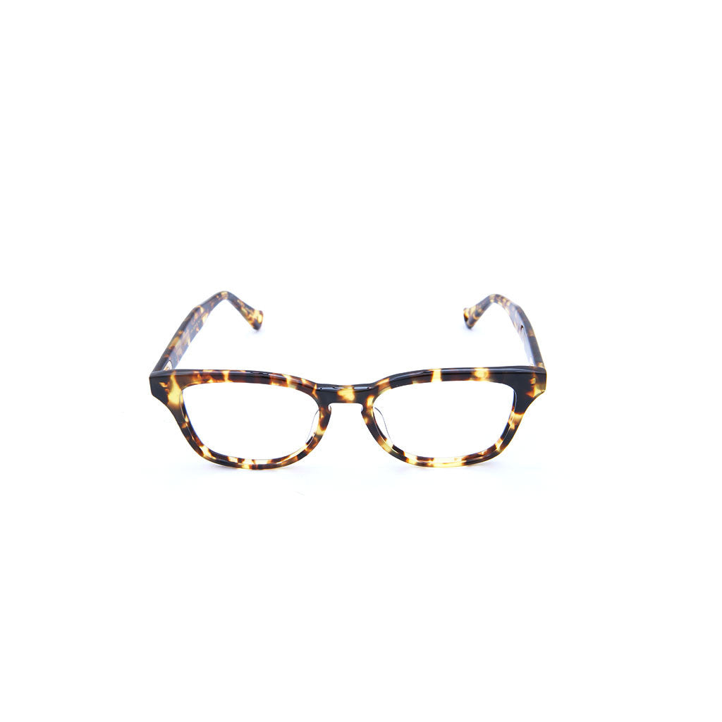 Sintra in Tokyo Tortoise