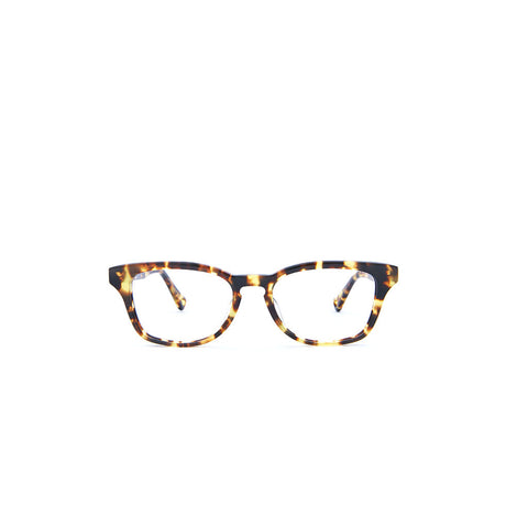 Sintra in Tokyo Tortoise
